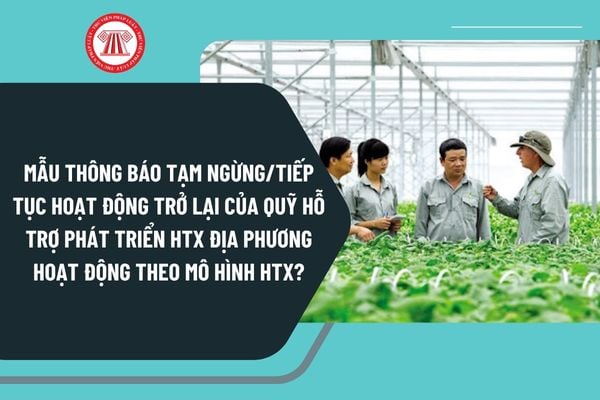 Thông báo về việc tạm ngừng và tiếp tục hoạt động của Quỹ hỗ trợ phát triển hợp tác xã địa phương.